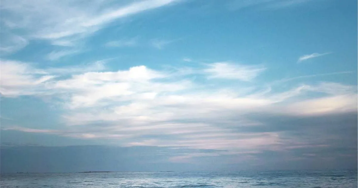 Notre avis sur SFM Offshore